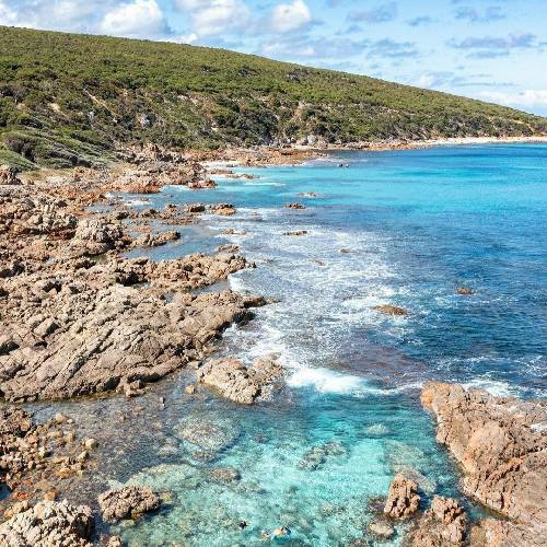 تو هم گنگی ولی تووی اینترنت حواست پرته کم کن چت مت